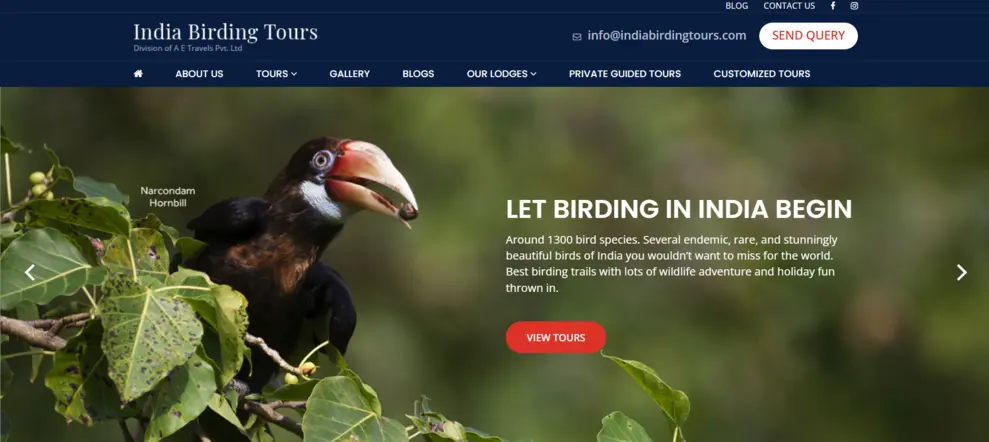 Indiabirdingtours