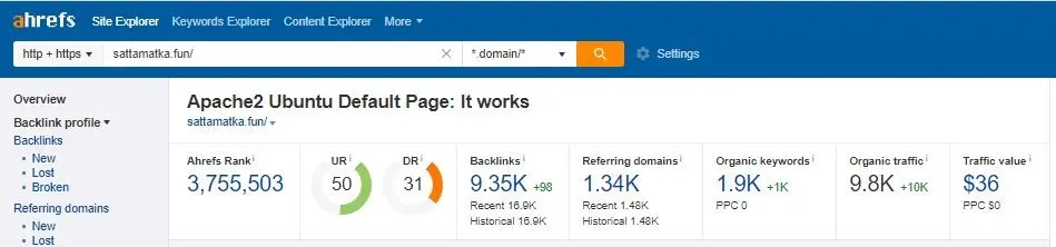 Report - After 6 months